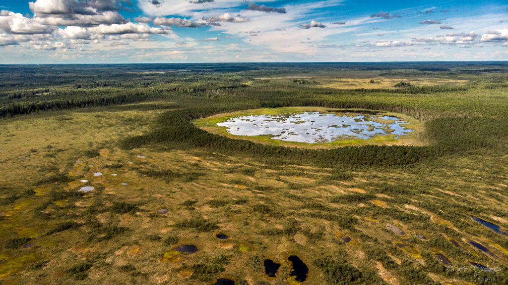 Nature day tour in estonia