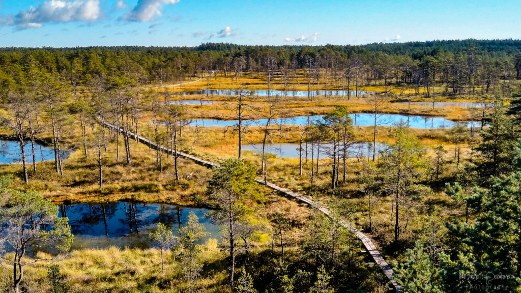 raised bog landscape