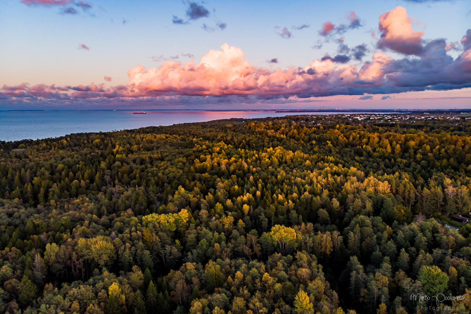 estonian nature tours